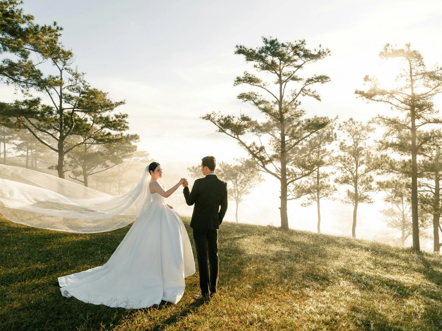 Best Wedding & Event Decor Service in Winnipeg