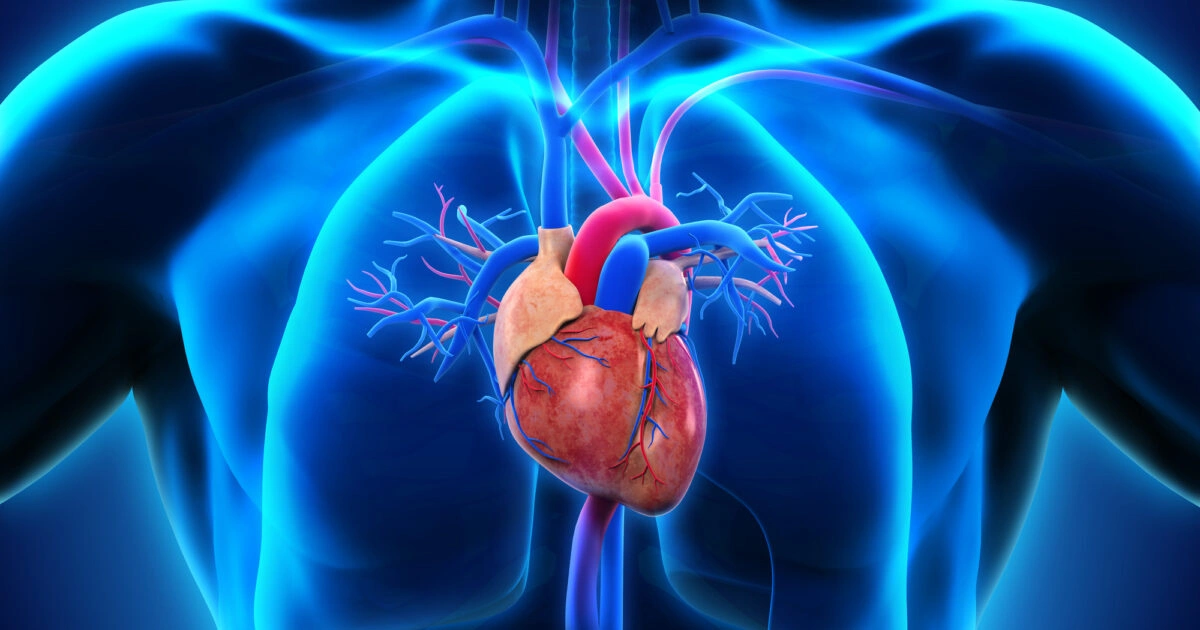 Complete Heart Health Guide: