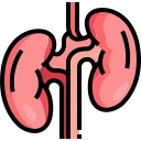 Kidney Care