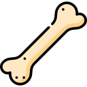 Bone & Joint Health