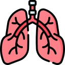 Respiratory Care