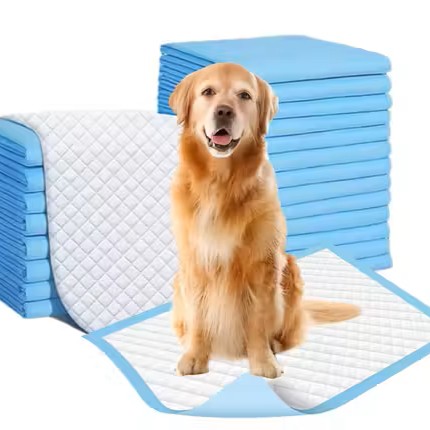 PH TIDY Disposable Pet Training Pads 60x90 cms Large Puppy Pee and Potty Pads with Quick Drying Surface & Absorbent Core, Suitable for Small/Medium/Large breed pets, dogs, cats