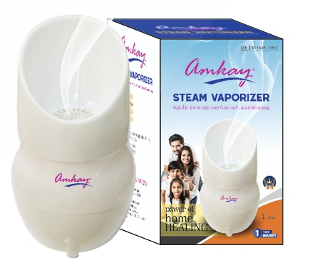 Steam Vaporizer