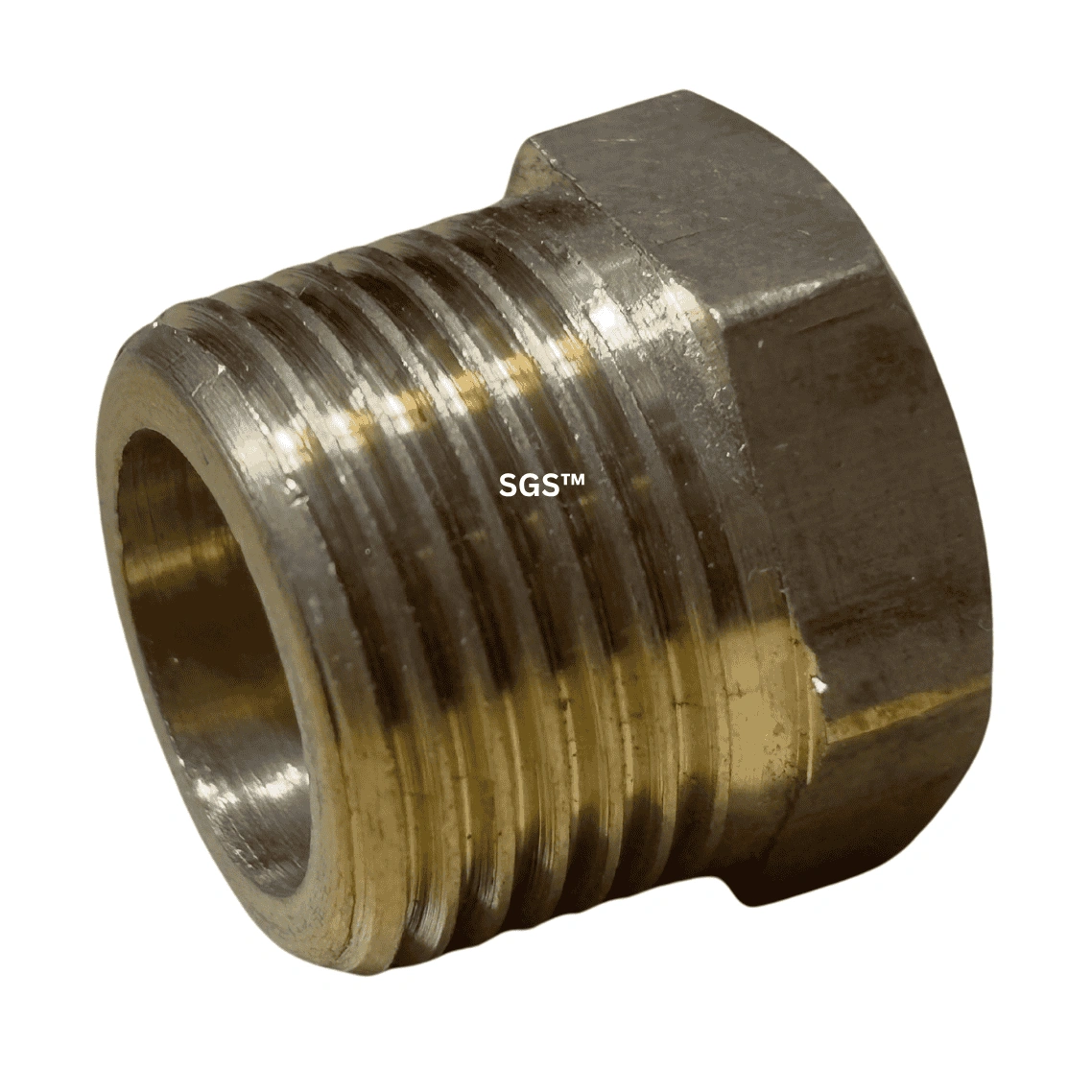 SGS Brass Dead Plug