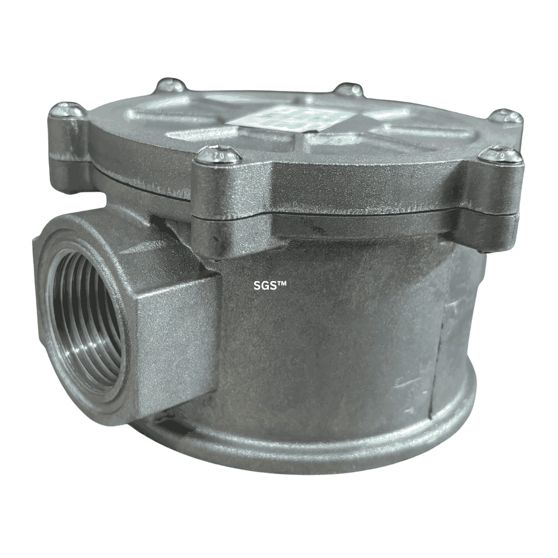 SGS FILTER DN 25