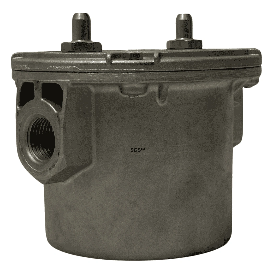 DUNGS GAS FILTER 4005/1 | 1/2"
