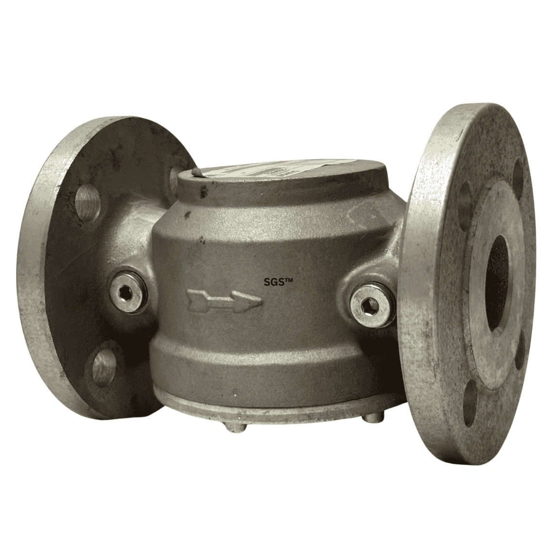 DUNGS Gas Filter 40-20-06 DN40